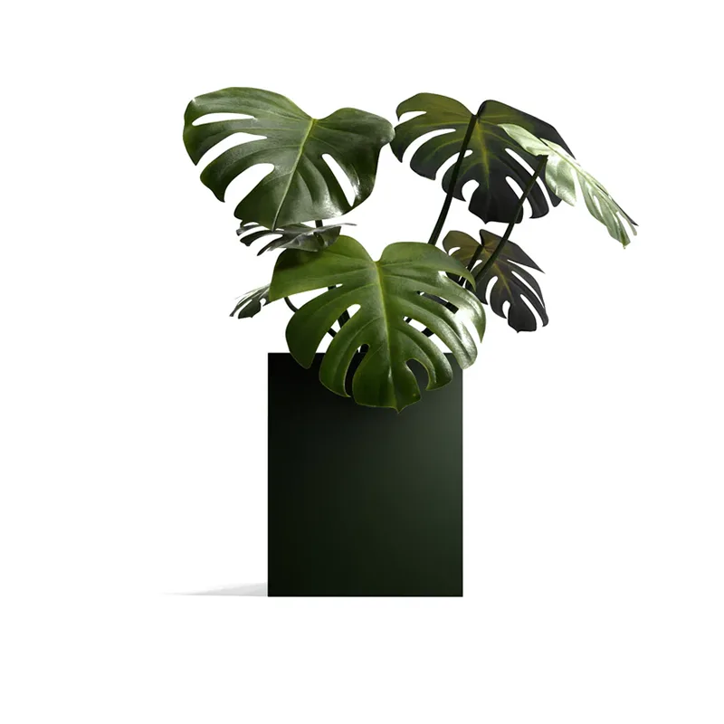 ပေါ့ပါးသော Square Outdoor Planter