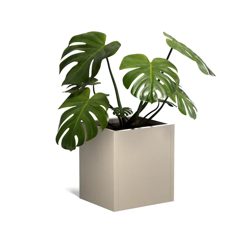 ပေါ့ပါးသော Square Outdoor Planter