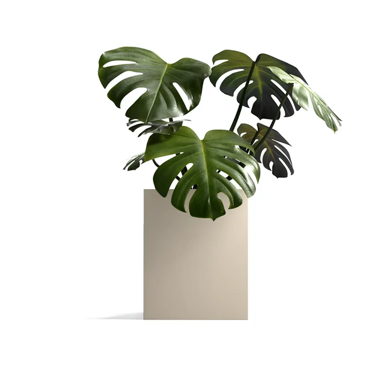 ပေါ့ပါးသော Square Outdoor Planter
