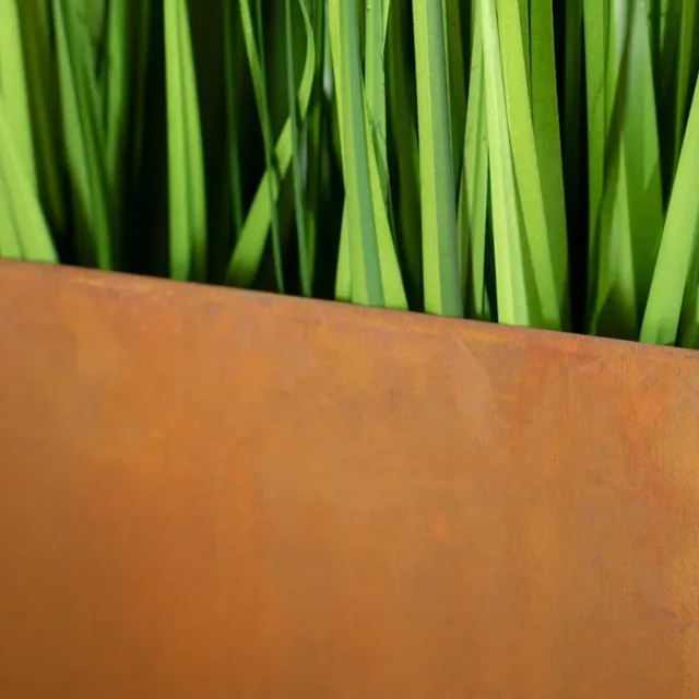 ပြင်ပခြံစည်းရိုးများ၏လုပ်ဆောင်ချက်။