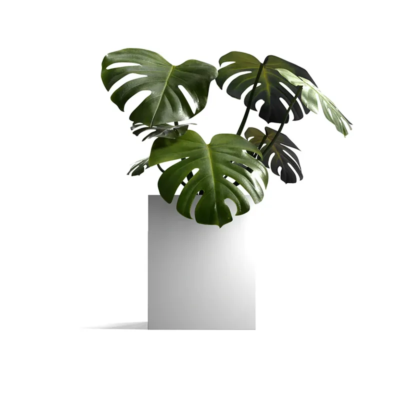 ပေါ့ပါးသော Square Outdoor Planter