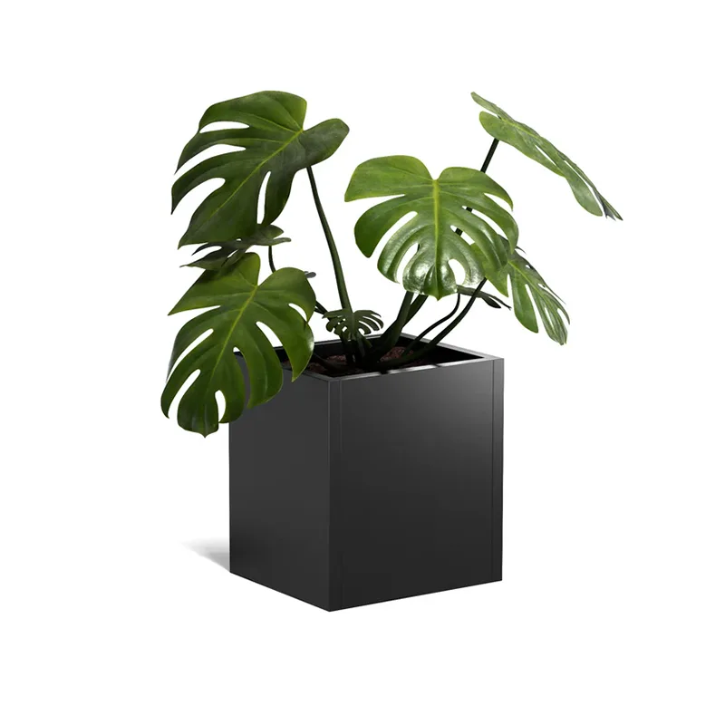 ပေါ့ပါးသော Square Outdoor Planter